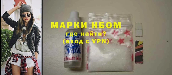 хмурый Гусев
