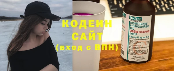 хмурый Гусев
