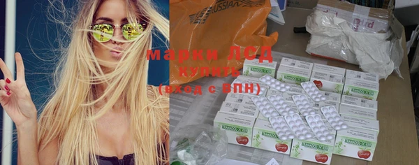 хмурый Гусев